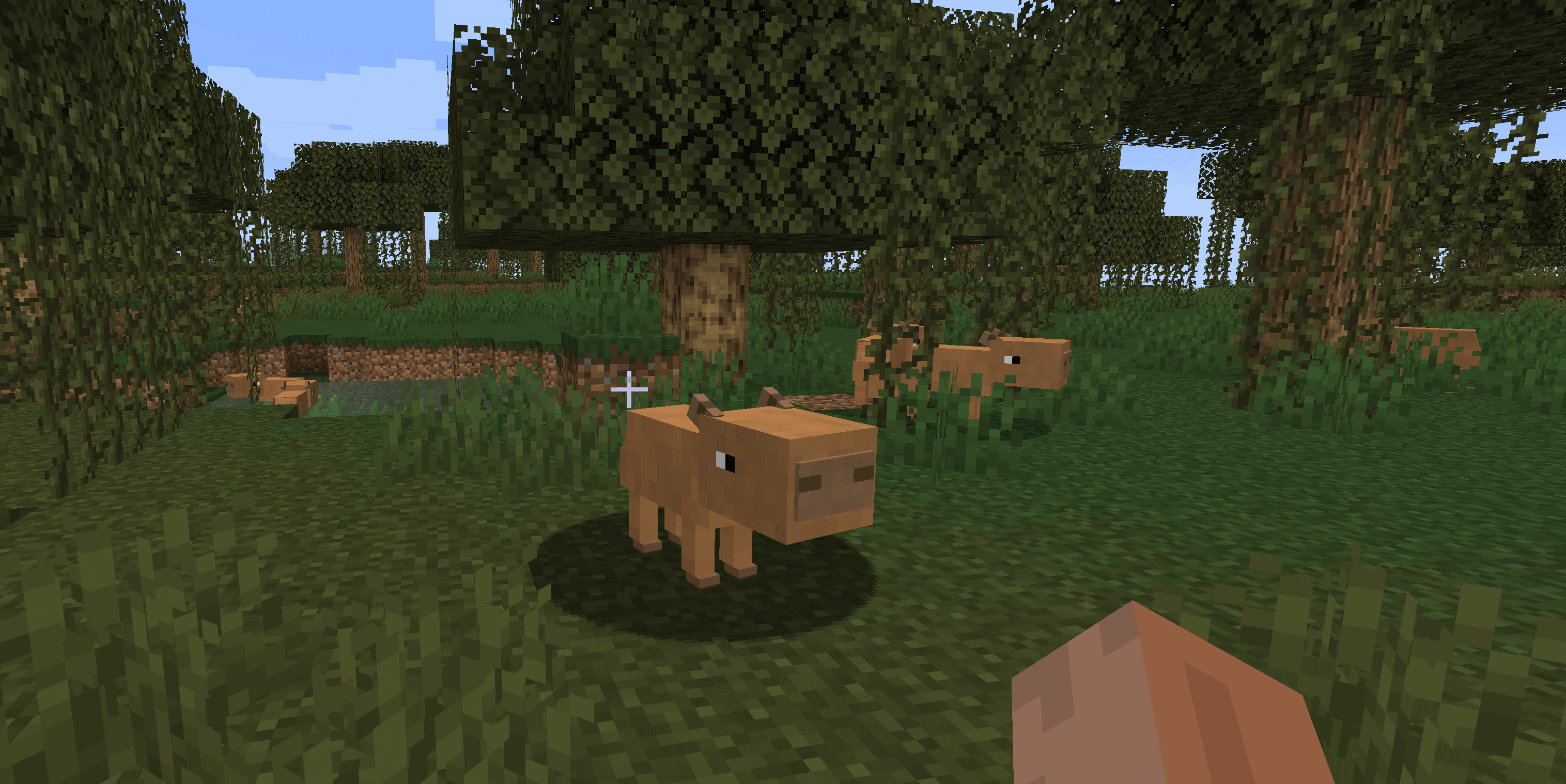 Gallery image for Cappybara Commune