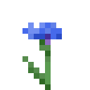 Icon for Cornflower