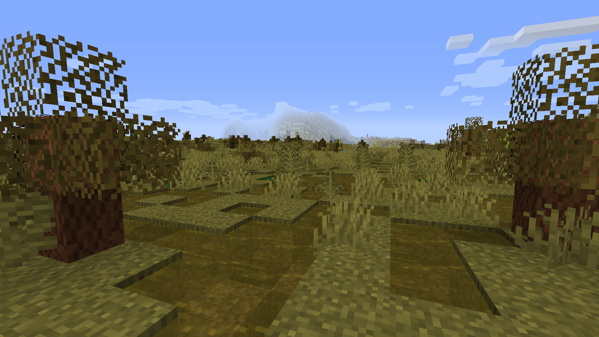 Gallery image for Woods and Mires