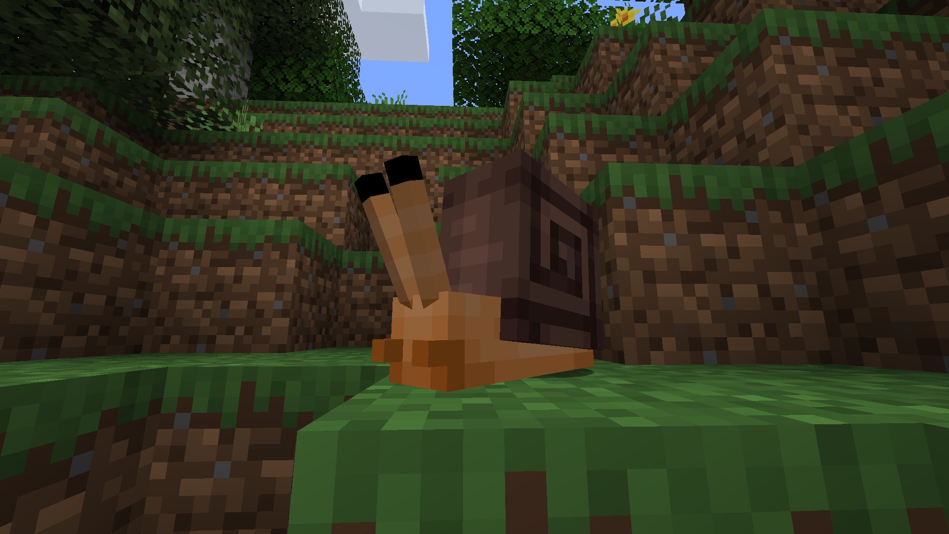 Gallery image for Lovely Snails