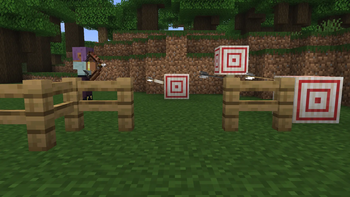 Gallery image for Archery Gimmicks
