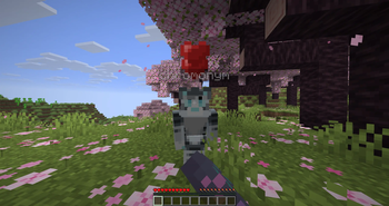 Gallery image for petsful