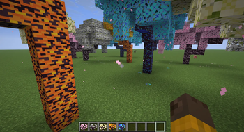 Gallery image for Productive Cherry Trees